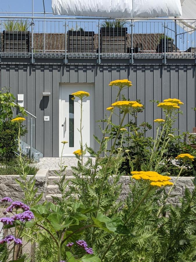Villa Haus Zur Aach Tinyhouse Uhldingen-Mühlhofen Exterior foto